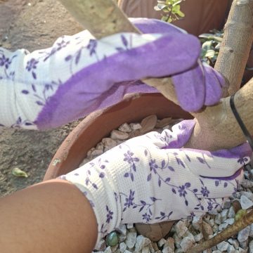 Ladies garden gloves