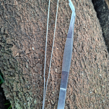 Garden tweezers